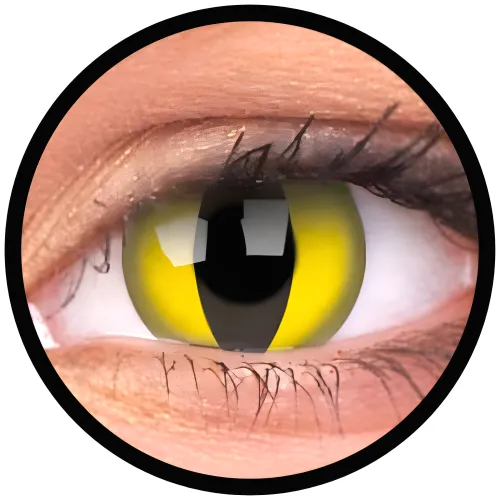 ColourVue Crazy čočky - Cat Eye (2 ks tříměsíční) - nedioptrické