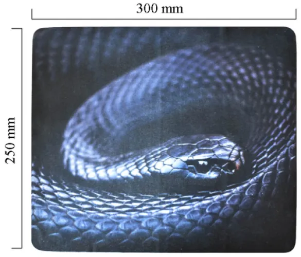 Hadřík na brýle z mikrovlákna - motiv mamba 250x300